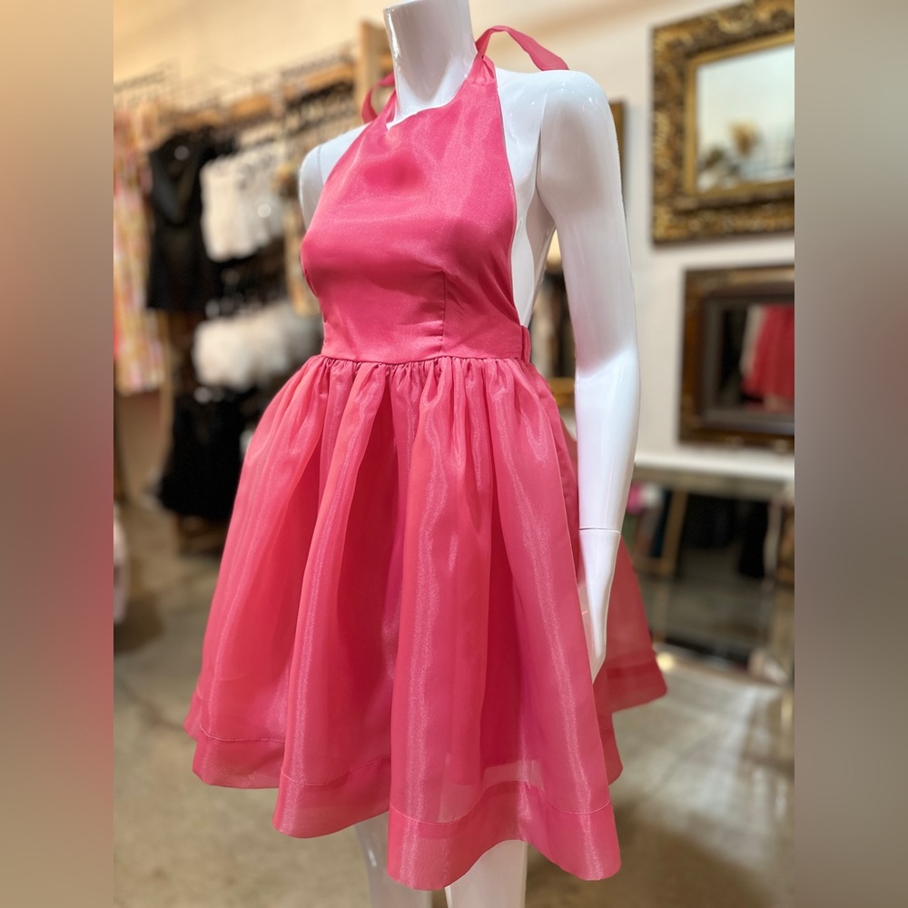 Barbie Pink Organza Backless Fit & Flare Mini Dress